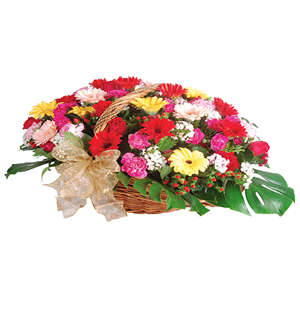 Basket of Cheer