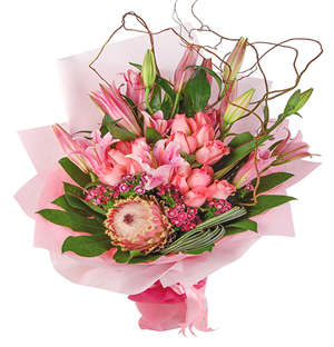 Pink Protea Flower Power
