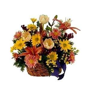 Country Basket