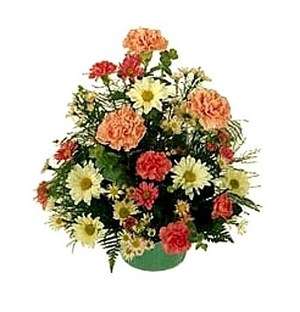 Petite Posy
