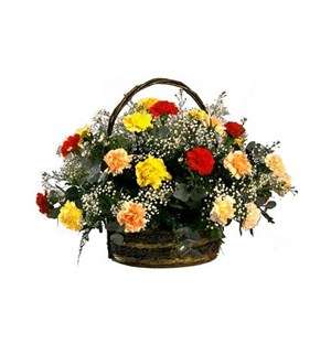 Rainbow Carnation Basket