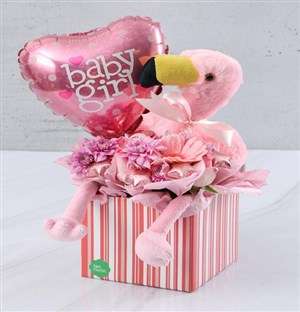 New Baby Girl Edible Arrangement
