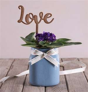 African Violet with Wooden Love Cutout