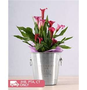 Pink Zantedeschia Ice Bucket