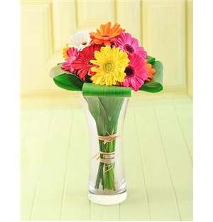 Gerberas in a Vase