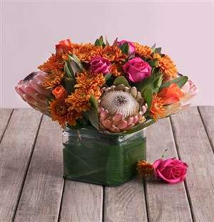 Orange Mixed Protea Arrangement