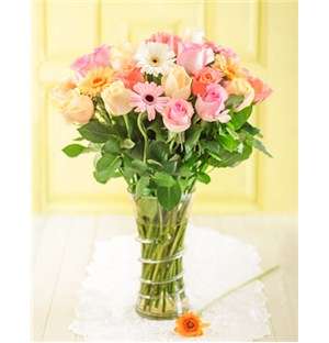 Pastel Allure