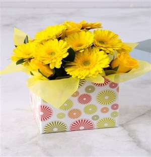 Yellow Gerbera and Rose Circle Box