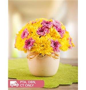 Happy Arrangement