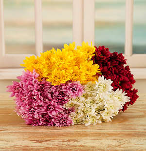 Crazy Daisy Bouquet