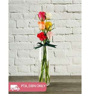 Six Mixed Roses in Slim Vase