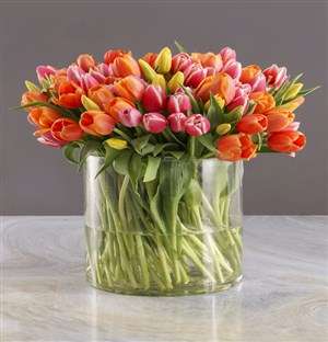 Hundred in One Tulips Arrangement