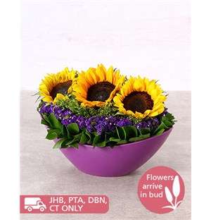 Sunshine in a Purple Boat Vase