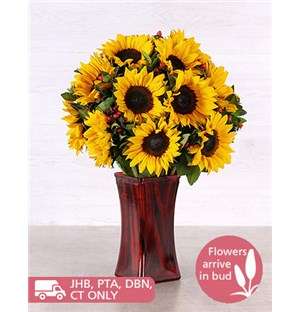 Sunflowers in a Tall Red Vase