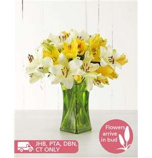 Yellow Asiflorum Lilies in Green Vase
