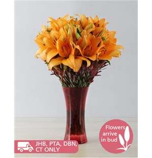 Orange Asiflorum Lily Safari Vase