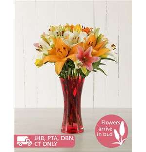 Red Vase of Mixed Asiflorum Lilies