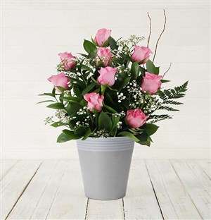 Pink Rose Pot