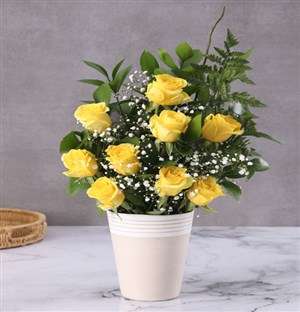 Yellow Roses Pot