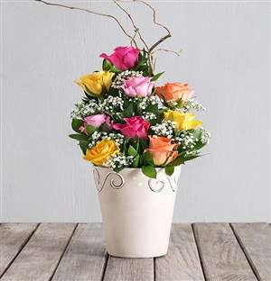 Rainbow Rose Pot