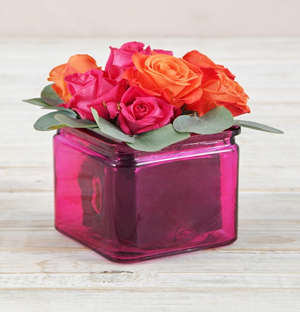 Enchanting Roses in Square Pink Vase