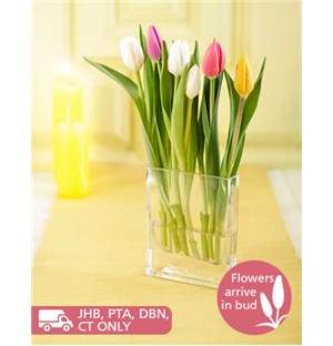 Cascading Tulip Arrangement