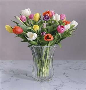 Tulips in a Cylinder Vase
