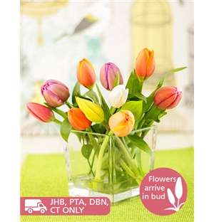 Tulips in a Square Vase