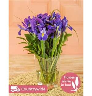 Irises in a  Vase