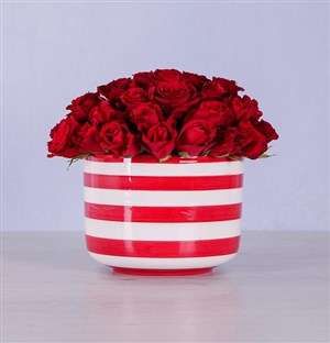 Red Roses in Candy-Striped Pot