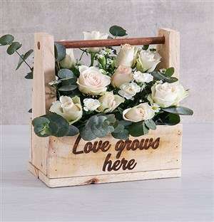 Love Grows Mixed Flower Arrangement
