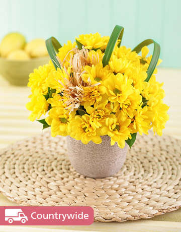 Yellow Daisies in a Pottery Vase Petite