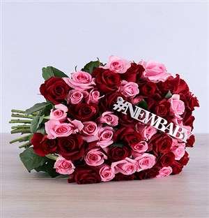 New Baby Red and Pink Roses