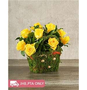 Yellow Roses in a Moss Basket