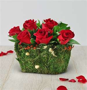 Red Roses in a Moss Basket
