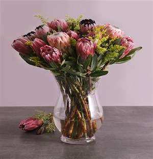 Mixed Proteas in a Vase