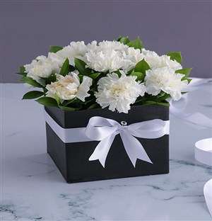 Formal Carnations in a Box