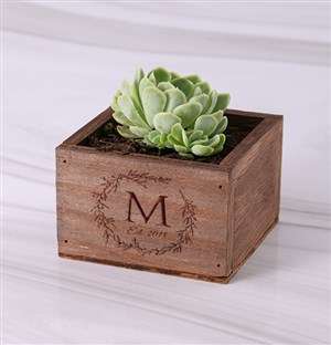 Personalised Laurel Wooden Box with Succulent