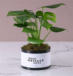 Personalised Monster Leaf in Black Box