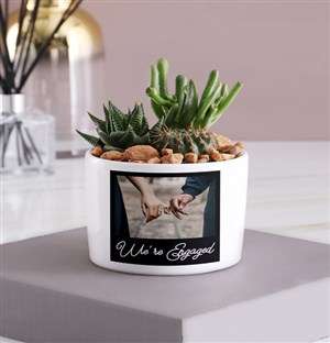 Personalised Engagement Succulent Mix