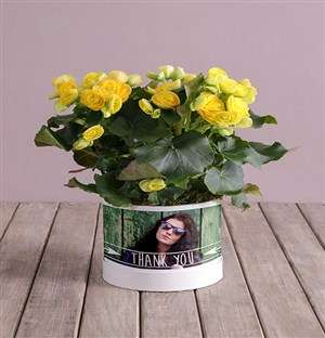 Personalised Begonia Thank You Arrangement