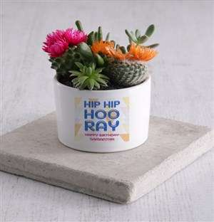 Personalised Birthday Succulent Mix