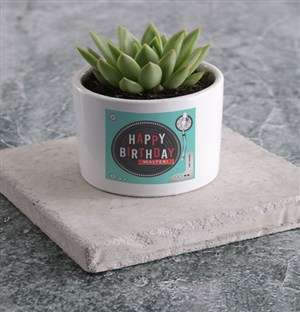 Personalised Birthday Record Succulent