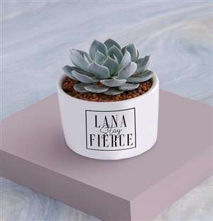 Personalised Stay Fierce Succulent