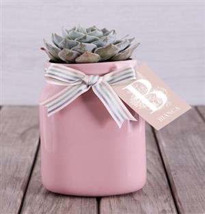 Personalised Potted Succulent