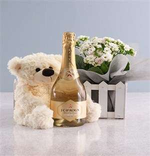 White Kalanchoe And JC Le Roux Gift Hamper