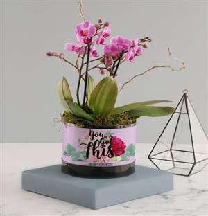 You Got This Pink Midi Orchid