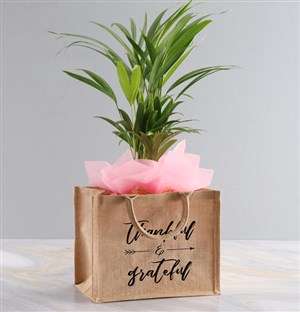 Areca Bamboo Planter In Hessian Tote Bag