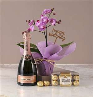 Pink Midi Orchid Birthday Hamper
