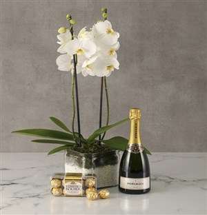 White Orchid Celebration Hamper